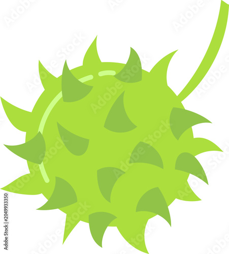 Tableau sur toile Green horse chestnut fruit with a spiky husk, reflecting autumn nature
