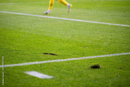 Schilderij op canvas Close up on a damaged green grass turf with a divot on the white line during a soccer match