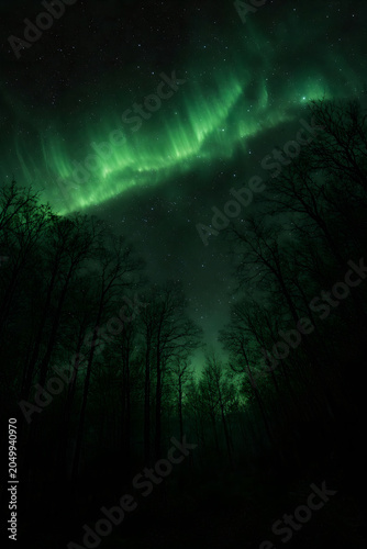 A mysterious green aurora glowing above a dark forest of silhouetted bare trees, capturing a moody, eerie atmosphere in a night-time setting