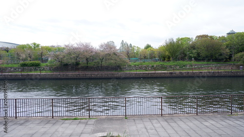 Riverside park with calm water, blooming trees, and lush greenery in spring season. Peaceful urban landscape, scenic waterfront view, outdoor recreation area, and nature photography concept.
