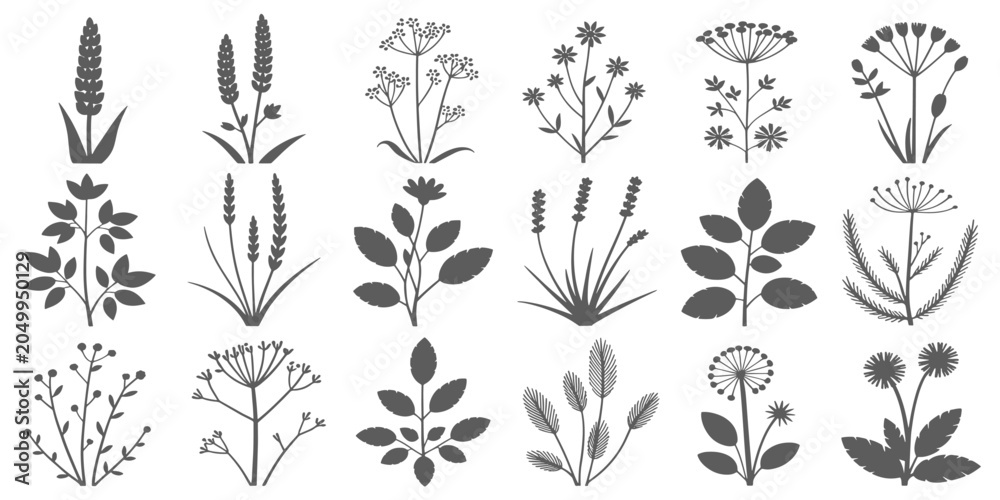 Fototapeta premium Black Sketch of Flowers Isolated on White Background. Set of flowers vector illustration of a plant .elements including blooming flowers,buds, leaves, stems, and small botanical branches. vectordesign