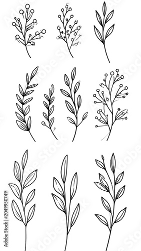 Floral Line Art Set.