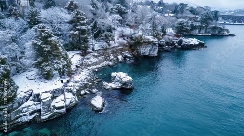 Snowy Coastal Cliff Landscape with Trees and Water Scene in Winter