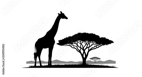 Giraffe and Acacia Tree Silhouette Vector