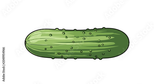 Vector illustration of a fresh green cucumber isolated on white