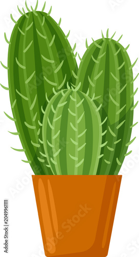 Green cactus plants in a pot with spines, vector illustration on white background