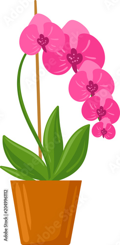 Pink orchid flowers and green leaves growing in a brown pot
