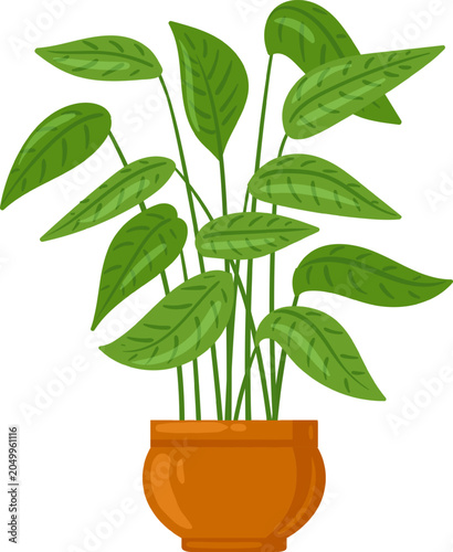Houseplant growing in a brown pot, representing gardening and indoor decor