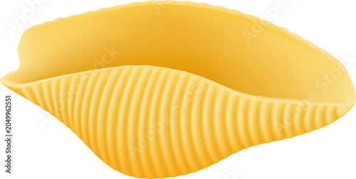 Schilderij op canvas Conchiglie pasta shell isolated on a white background, ready for cooking delicio