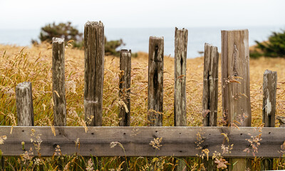 Coastal Fence and Grasses Along the California Coast with Ocean in the Background