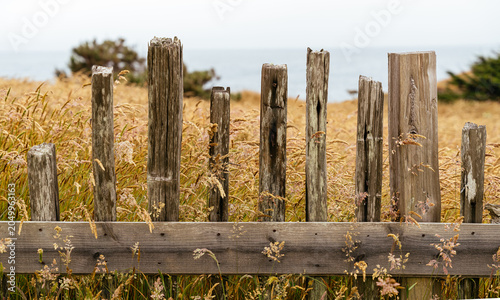 Coastal Fence and Grasses Along the California Coast with Ocean in the Background