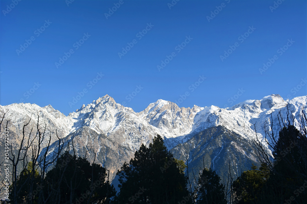 Obraz premium The striking contrast of dark tree silhouettes against majestic, snow-covered mountains celebrates the beauty of natural alpine landscapes excellent for travel, outdoor lifestyle, nature conservation