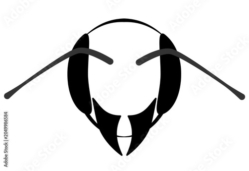 leaf cutter bee