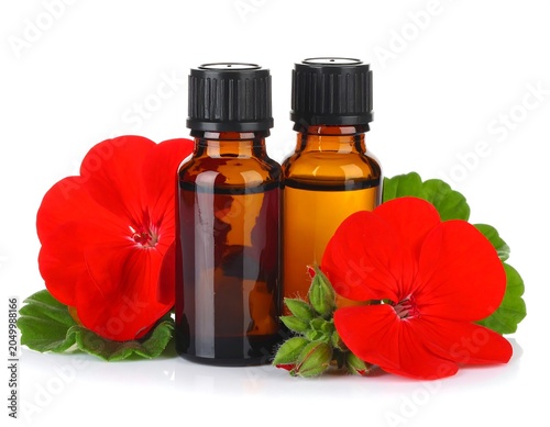 Geranium Oil Essence.