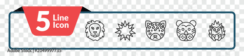Photography outline animals icons set - lion, sea urchin, tiger, hedgehog