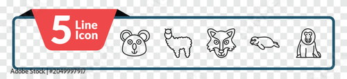 Photography outline animals icons set - koala, alpaca, seal, baboon