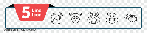 Photography outline animals icons set - puppy, philippine tarsier, hippo, angler
