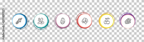 Bild auf Leinwand outline fruits and vegetables icons set - celery, ginger, avocado, star fruit
