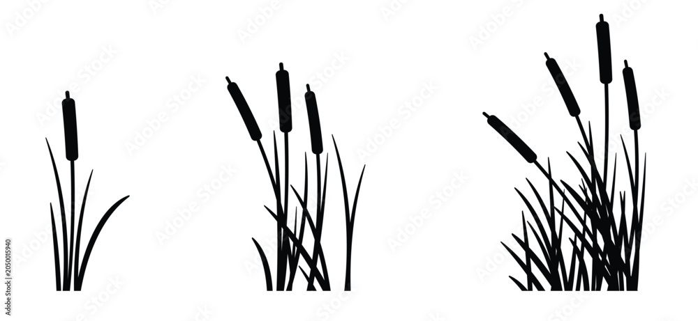 Fototapeta premium cartoon lisdodde or typha latifolia It is an aquatic plant. They have long, narrow leaves, a straight stem, and a brown, cigar-shaped spadix. They grow mainly in swamps, ditches, and along banks.