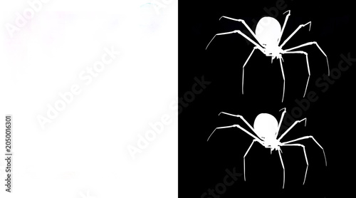 Cuadro en lienzo Black widow spider silhouette on black background, creepy arachnid alpha matte,
