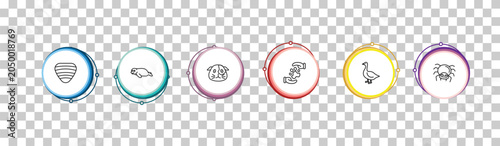 Fotografía outline animals icons set - clam, seal, guinea pig heag, spider