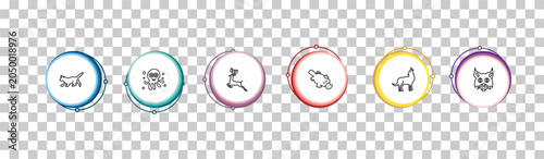 Photography outline animals icons set - kitten, octopus, roe, pallas cat