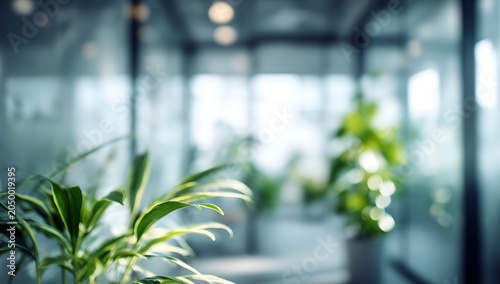 Abstract office interior background. Blurry office space. Modern workspace design. Glass walls, blurred furniture, plants. Natural light, commercial building, business concept, indoor. High quality
