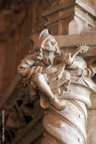 Photos Joueur de luth, château de Chaumont sur Loire, intérieur