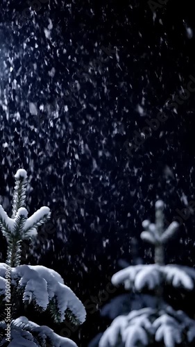 Heavy snow accumulation on pine branches during winter night.