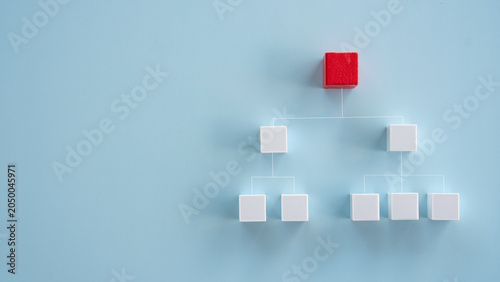 Photos Organizational structure corporate hierarchy chart tree diagram business leaders