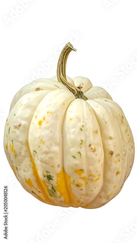 Gourd on White.