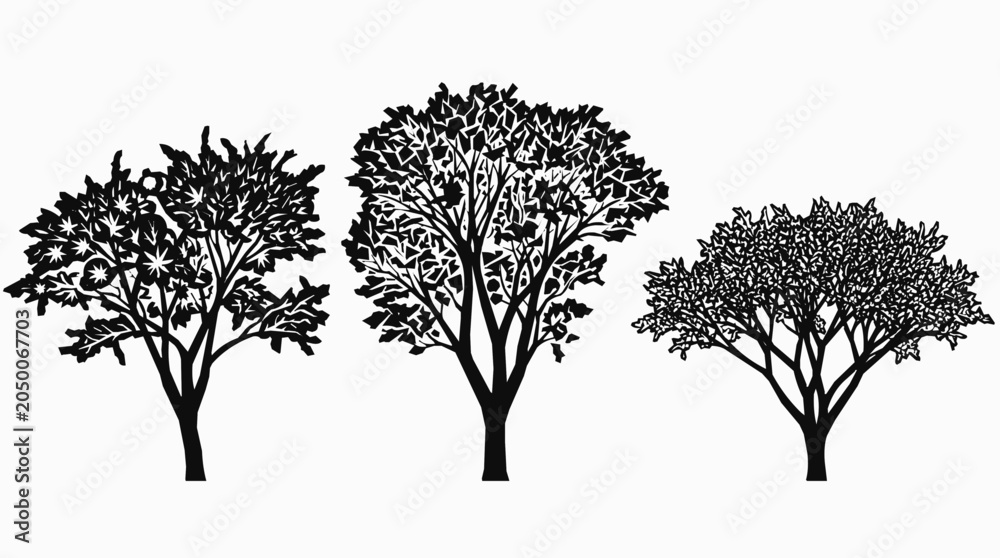 Fototapeta premium A detailed tree silhouette collection in black nature style, providing a versatile botanical set and leaf illustration for creative graphic design.