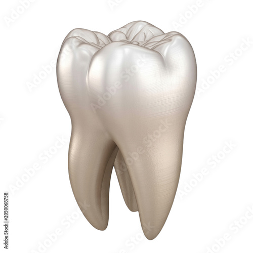 Clean healthy human tooth illustration isolated on transparent background