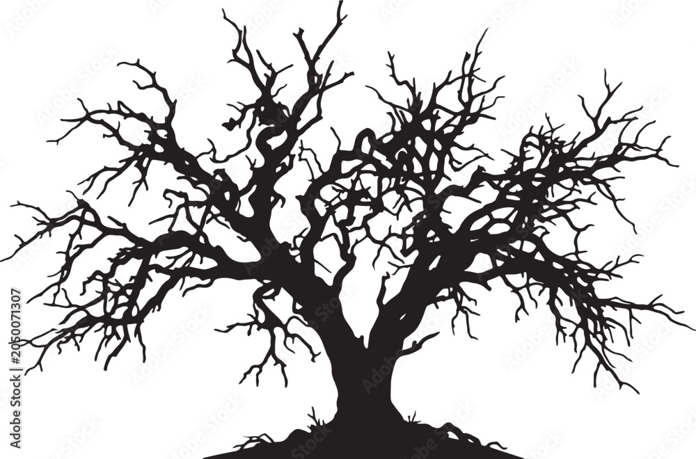 Fototapeta premium Dead Tree Silhouette on White Background – Spooky Dry Branch Halloween Concept Vector Illustration