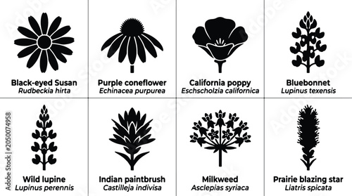 Bild auf Leinwand Wildflower Icons Set: Black-eyed Susan, Purple Coneflower, California Poppy, Blu