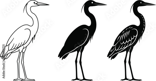 Fotografía Heron vector illustrations featuring line art black silhouette and engraved style wading birds set in image_8304f1