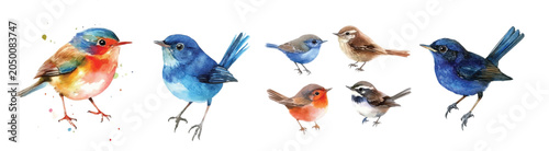 Minimal yet artistic elements for creative designs. hand-drawn paint, Simple Illustration, A beautiful painting of wren bird, EPS format, isolated on a white background