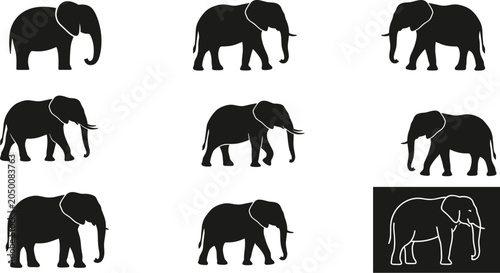 Quadro su tela Black silhouette vector collection of african elephants in different walking pos