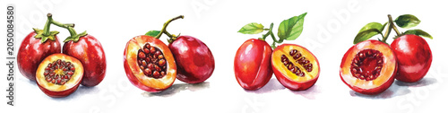 Minimal yet artistic elements for creative designs. hand-drawn paint, Simple Illustration, A beautiful painting of tamarillo fruit, EPS format, isolated on a white background