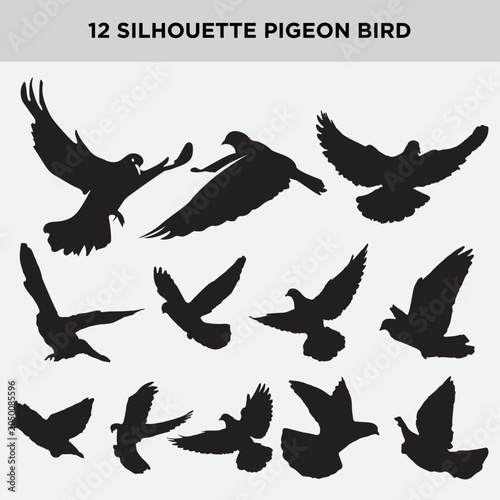 12 Flying Pigeon Bird Silhouettes Collection Vector Set Isolated on White Background
