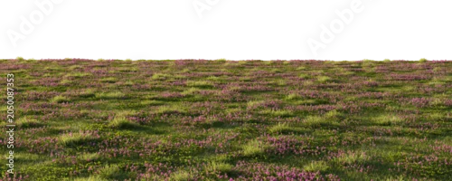 Panel kuchenny z motywem Clover meadow terrain isolated on transparent background. 3D rendering.