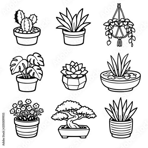 black and white line drawing of various potted plants and succulents
