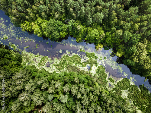 Small river and forests. Ae...
