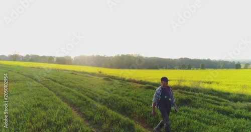 Man walking along a crop field path at sunset