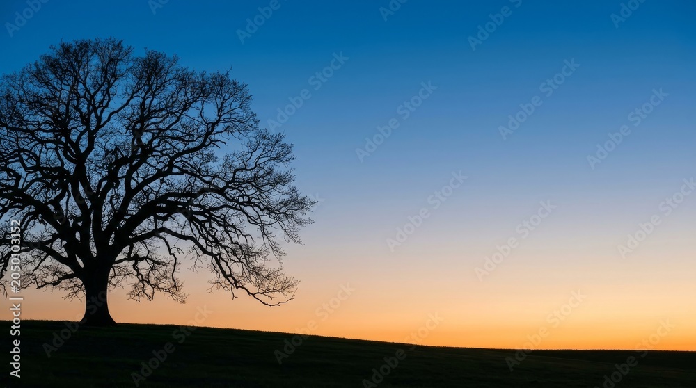 Fototapeta premium Solitary Ancient Tree Silhouette Against Minimalist Gradient Sky at Dusk
