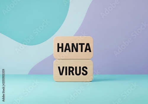 Wooden blocks with Hanta Virus text on abstract background