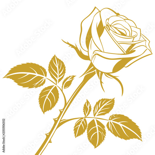 yellow rose silhouette on white background