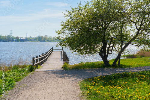 Scenic wooden boardwalk through green reeds on Lake Liepaja in summer, Latvia