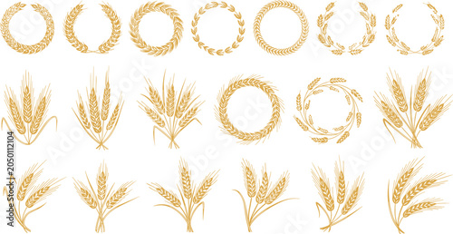 Konstfotografi Wheat Ears and Barley Wreath Vector Set Featuring Golden Agriculture Sheaves and