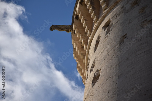 Fotografija gargouilles
